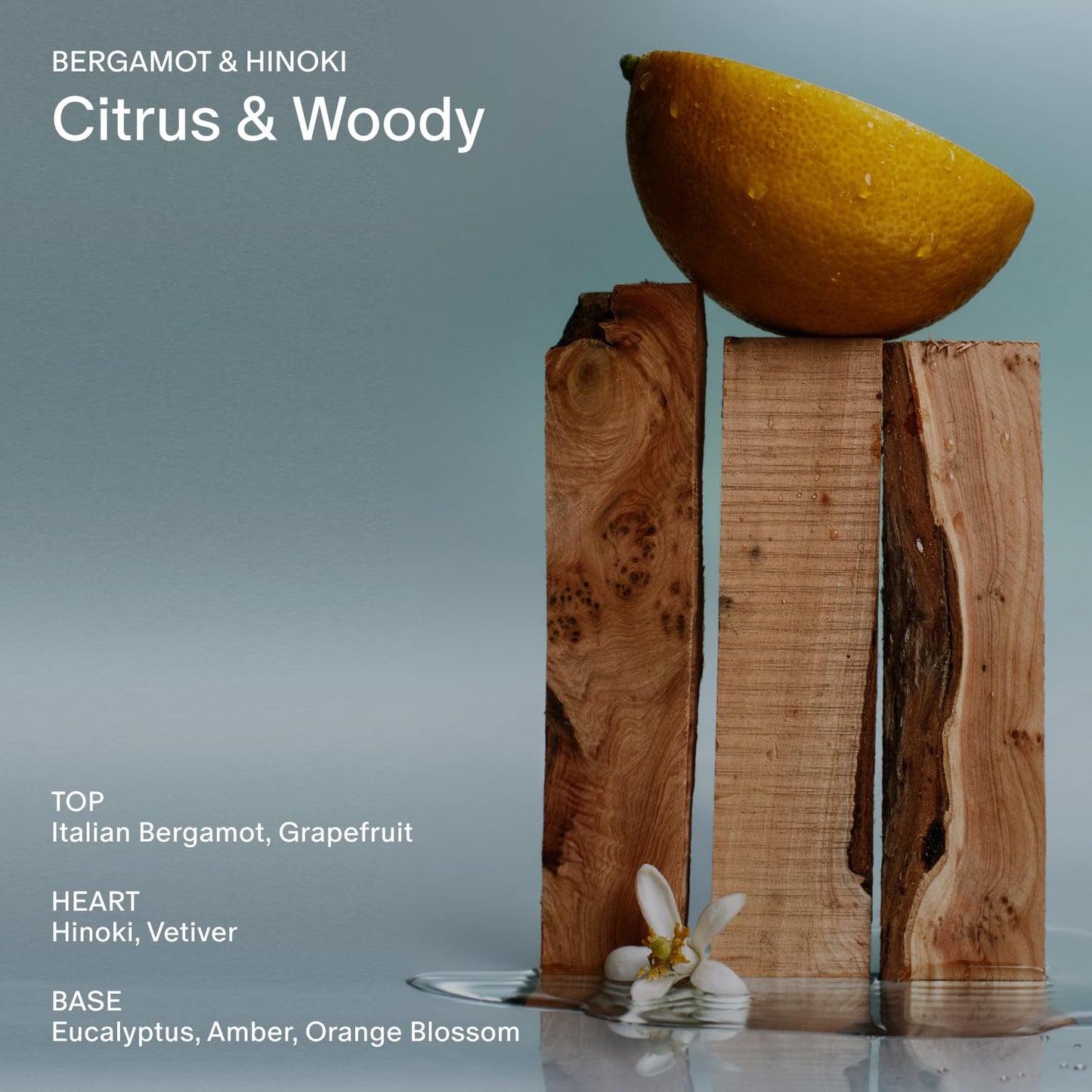 Salt & Stone Body Lotion for Women & Men| Scented Daily Body Lotion | Hydrates, Nourishes & Softens Skin | Restores Dry Skin | Fast-Absorbing | Cruelty-Free & Vegan (450 ml) (Bergamot & Hinoki)